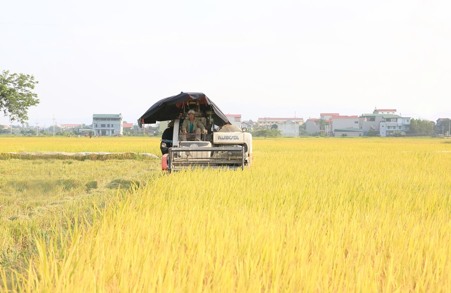 co-gioi-hoa-san-xuat-nong-nghiep-don-bay-tang-nang-suat-cay-trong