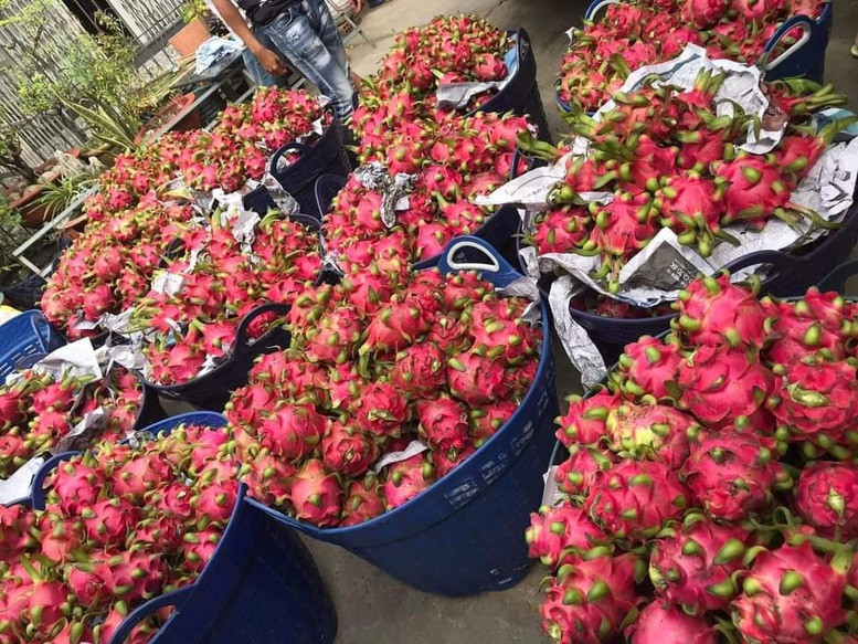 can-minh-bach-bien-phap-sps-trong-xuat-khau-thuc-pham