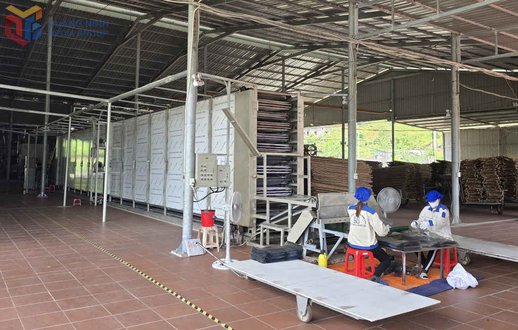 tinh-quang-ninh-hanh-trinh-5-sao-cua-mien-dong-binh-lieu