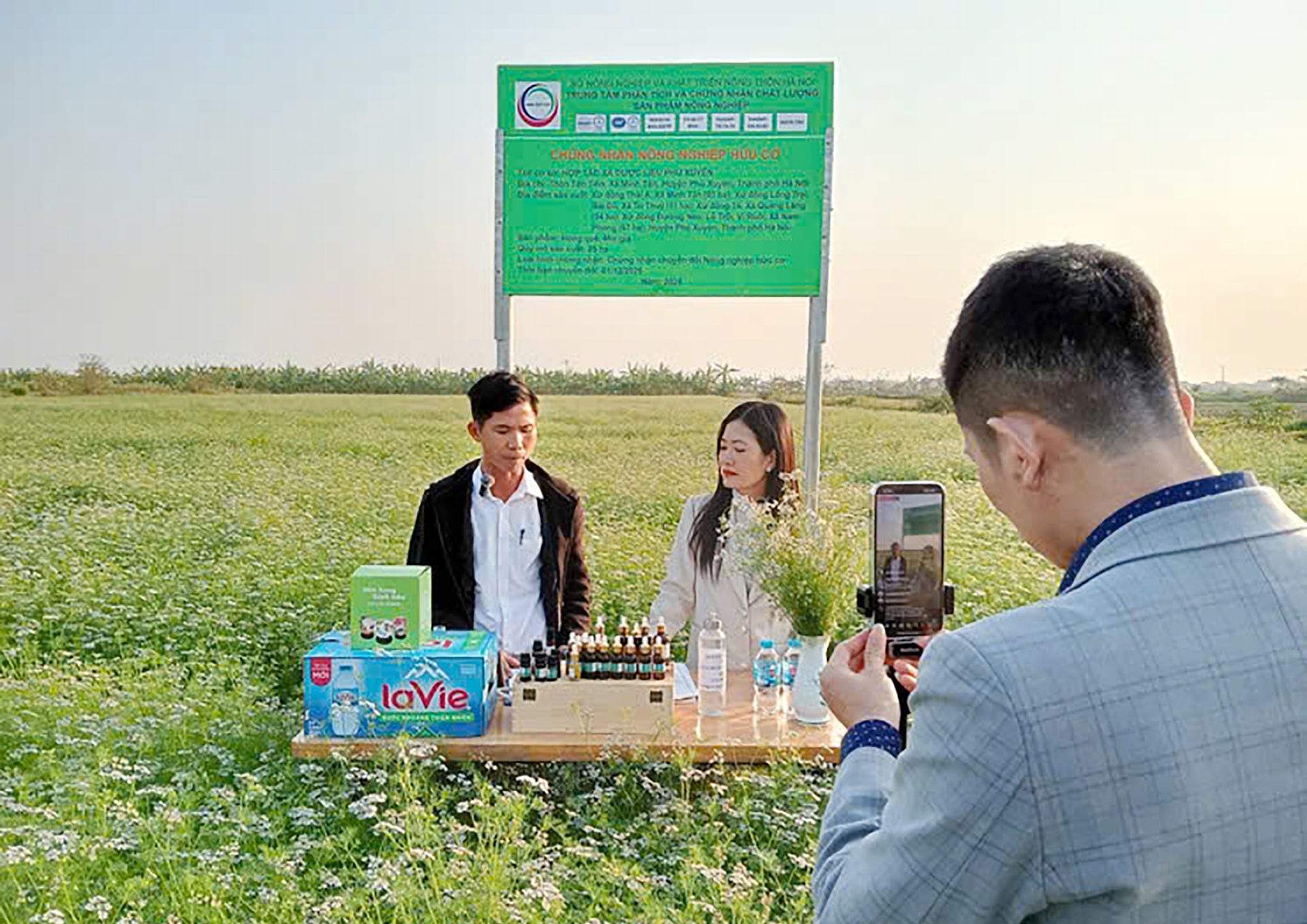 gieo-mam-so-cho-dat-nghe-phu-xuyen