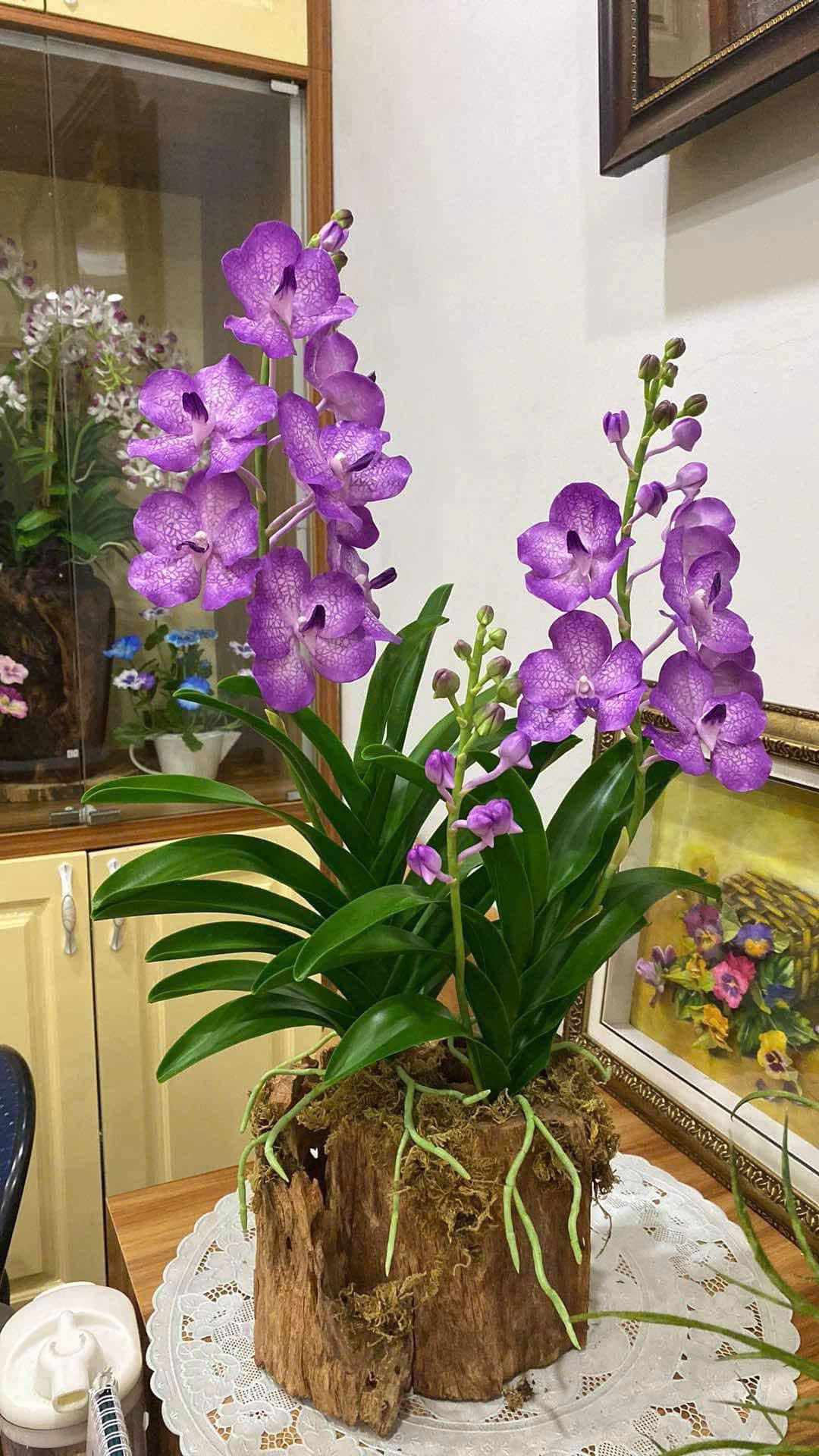 san-pham-thu-cong-my-nghe-lang-nghe-ha-noi-nang-tam-sang-tao-lan-toa-tinh-hoa-vuon-minh-hoi-nhap